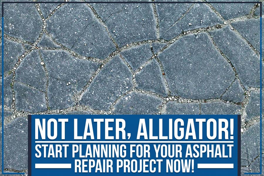 You are currently viewing Not Later, Alligator! Start Planning For Your Asphalt Repair Project Now!
